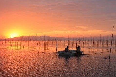 海苔　有明産「厚漉艶稀」